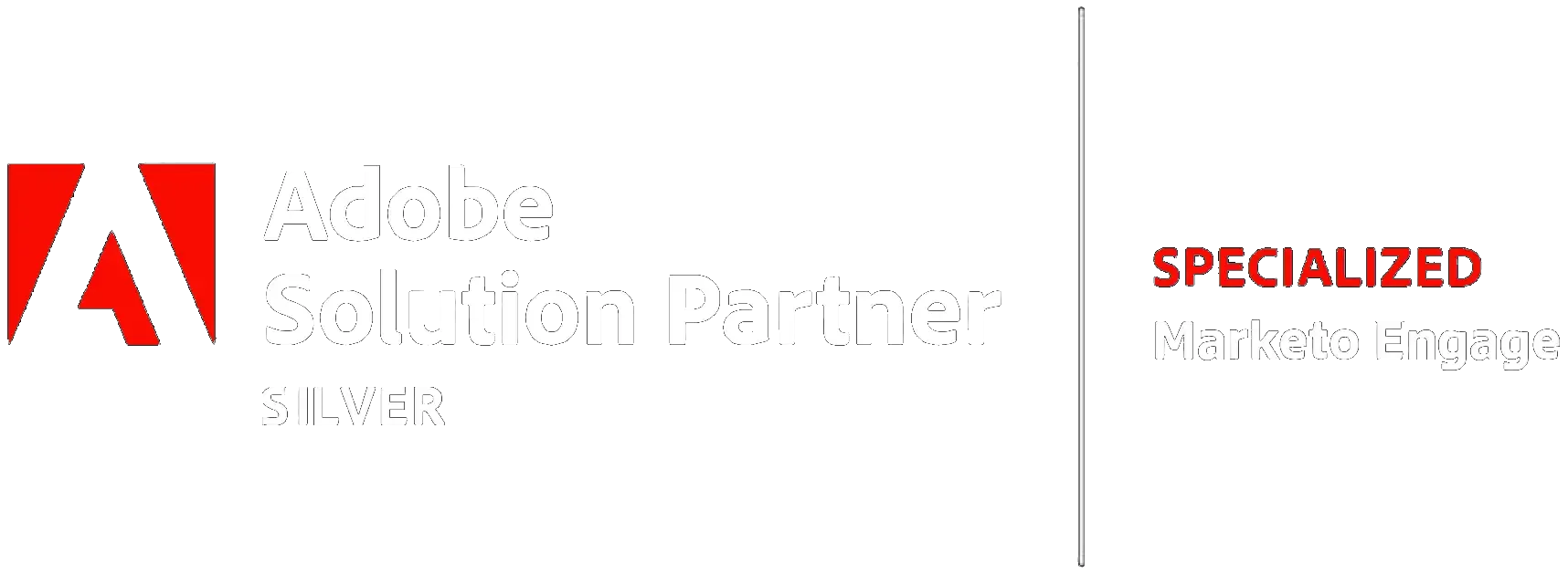 Adobe Silver Solution Partner - Specialized in Marketo Engage